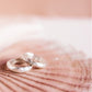 ANILLO PLATA "Mud Collection"